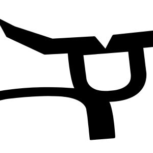 RS Jet Black 3" Decal