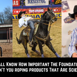 We All Know How Important The Foundation Is So Why Are You Still Not Roping With 1 team roping